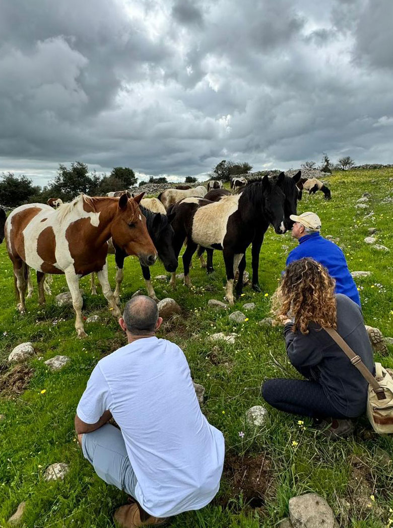 דף הבית